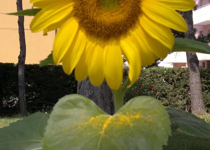 Hotel Golf ***s Bibione